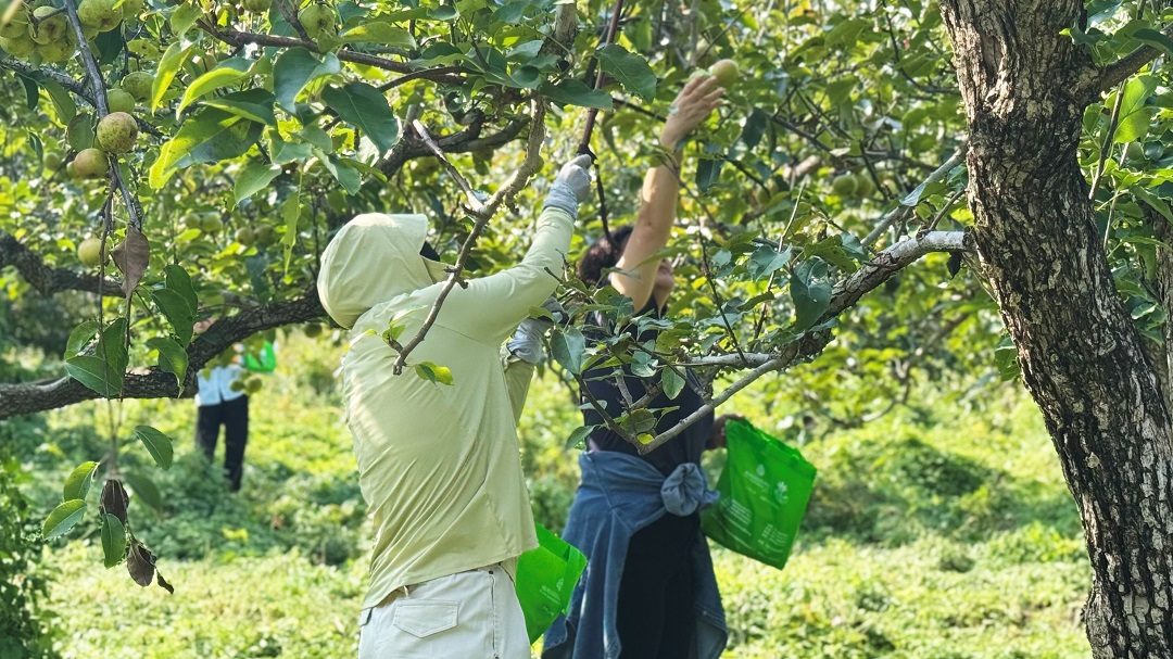 遼寧觀陵山福壽園舉辦 “愛在金秋·禮遇國慶”老客戶感恩回饋活動(圖8)