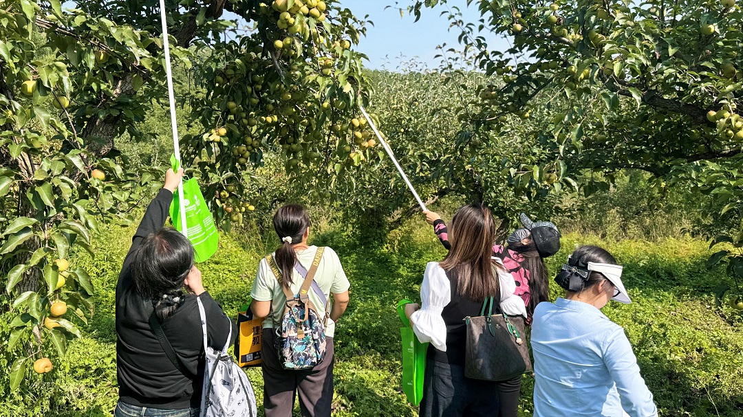 遼寧觀陵山福壽園舉辦 “愛在金秋·禮遇國慶”老客戶感恩回饋活動(圖9)